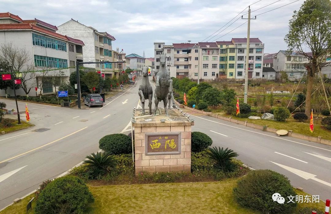 千祥镇西阳村位于东阳市东南,距市区40余公里,画南下线穿村而过,离诸