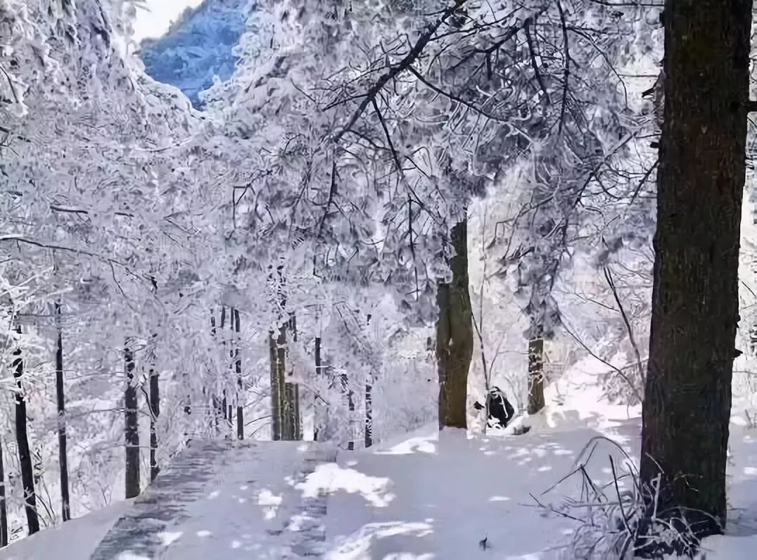 【初一至十五,天天发团】$598|冬韵金铙山"八闽第一峰"建宁金铙山