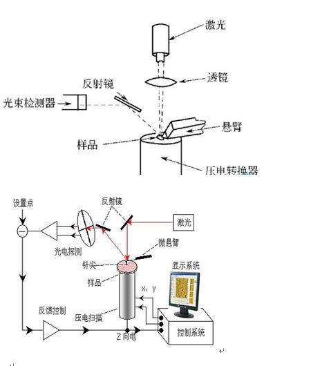 原子力显微镜用胶