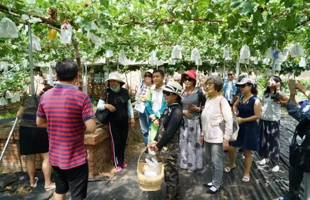 雲南最良心接地氣城市！景美人美宜定居，網友：活該它如今大紅大紫 旅遊 第14張