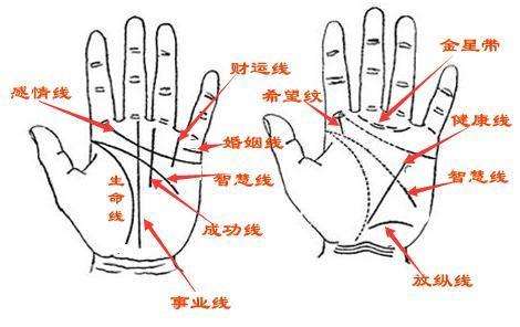 搭生命线时怎么防护_生命线防护