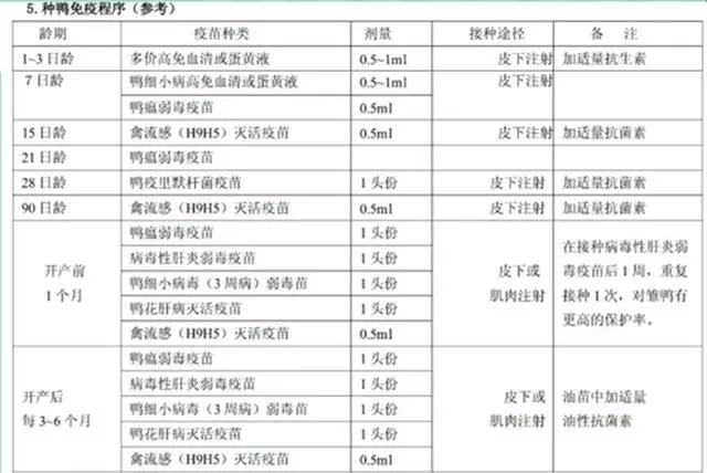 家禽疫苗免疫程序日程表_防疫