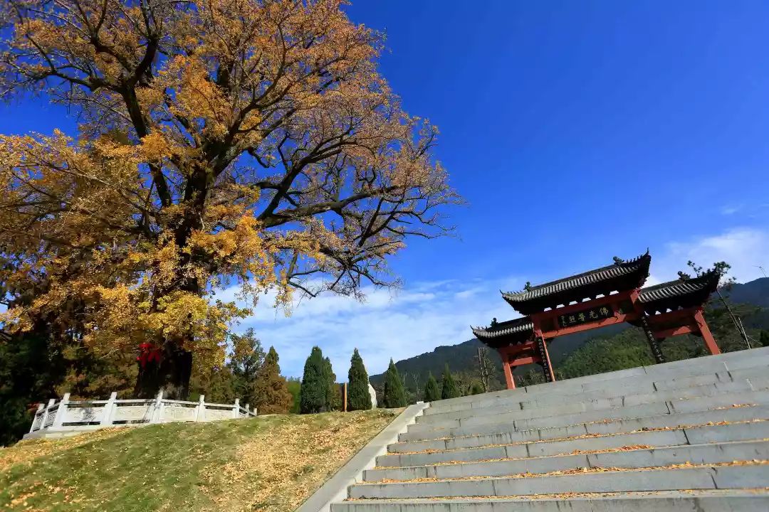 黄柏山旅游景区/优惠政策:免门票时间:2月4日—2月11日/香山湖景区