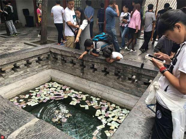 许愿池里的猫腻,看完你就知道真正的去处_景区