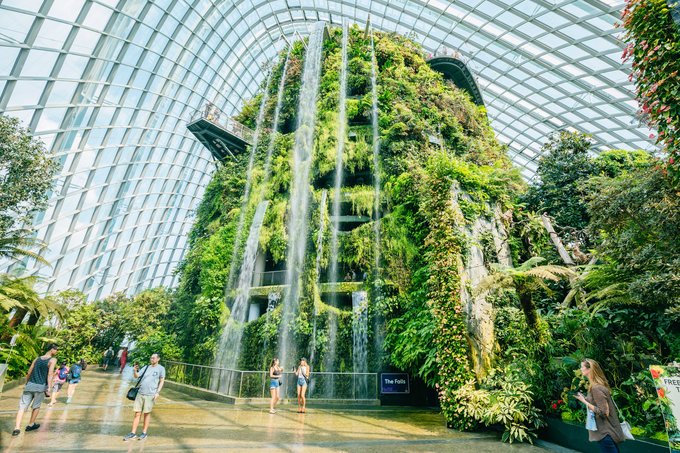 新加坡最大的室内瀑布 滨海湾花园之云雾林 绿色植物