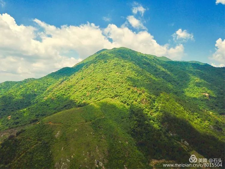 春节封开无处不飞花,醉美花景花时花语在这里_麒麟山