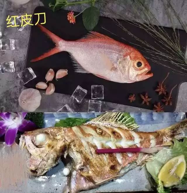 两面煎黄,撒上黑胡椒碎,一道美味的香煎红皮刀就做成了香煎极品,鱼体