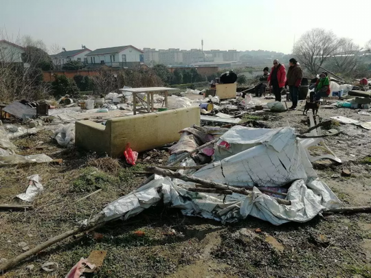 瘦西湖街道人口数量_扬州瘦西湖图片