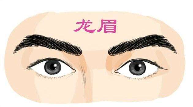 眉毛代表保寿宫,也是结交宫,眉毛的形态,可以决议人的性情,健康,财气