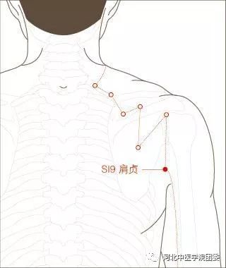 中医常见的养生穴位及功效七十五肩贞穴