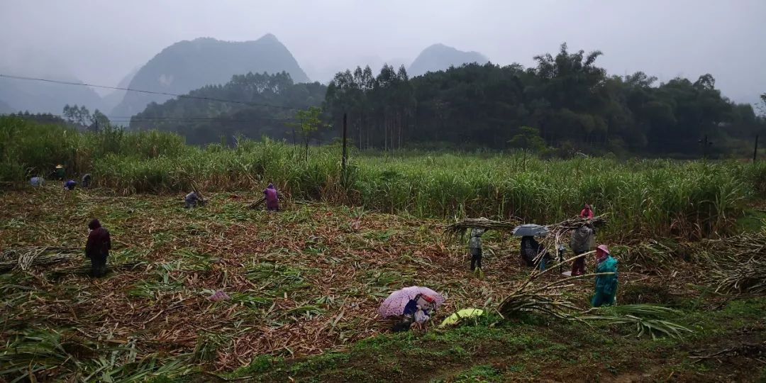 1月18日下午,大雨滂沱,高速公路周鹿段,马山县电力公司的工人冒着寒风