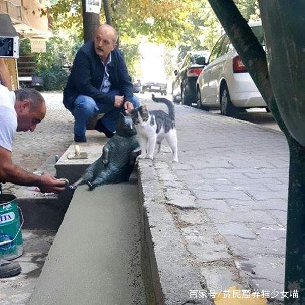 原創
            一躺成名的貓咪，收獲眾多粉絲的它，過世後依然守護者大家 寵物 第7張