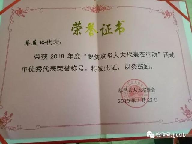 一心为民好代表—记都昌县人大代表,左里中心幼儿园园长蔡美玲_教育