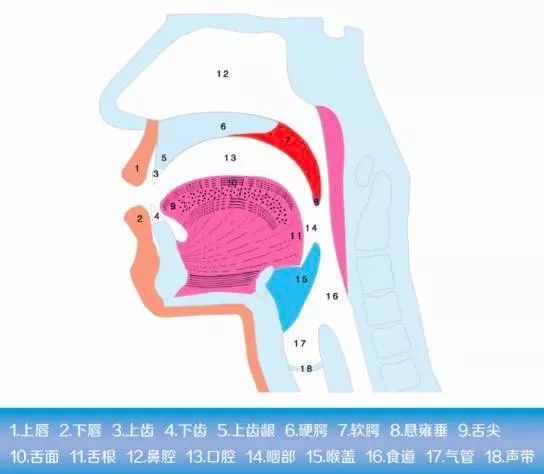 亲自探访专家我整理了这些干预孩子发音不清的方法