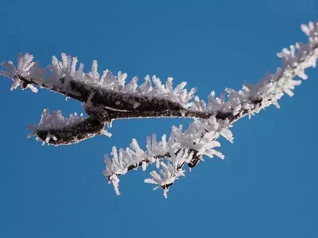 非冰非雪的雾凇你了解吗