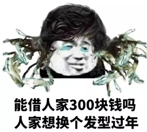 搞笑表情包:这就是大包小包回家过年的你