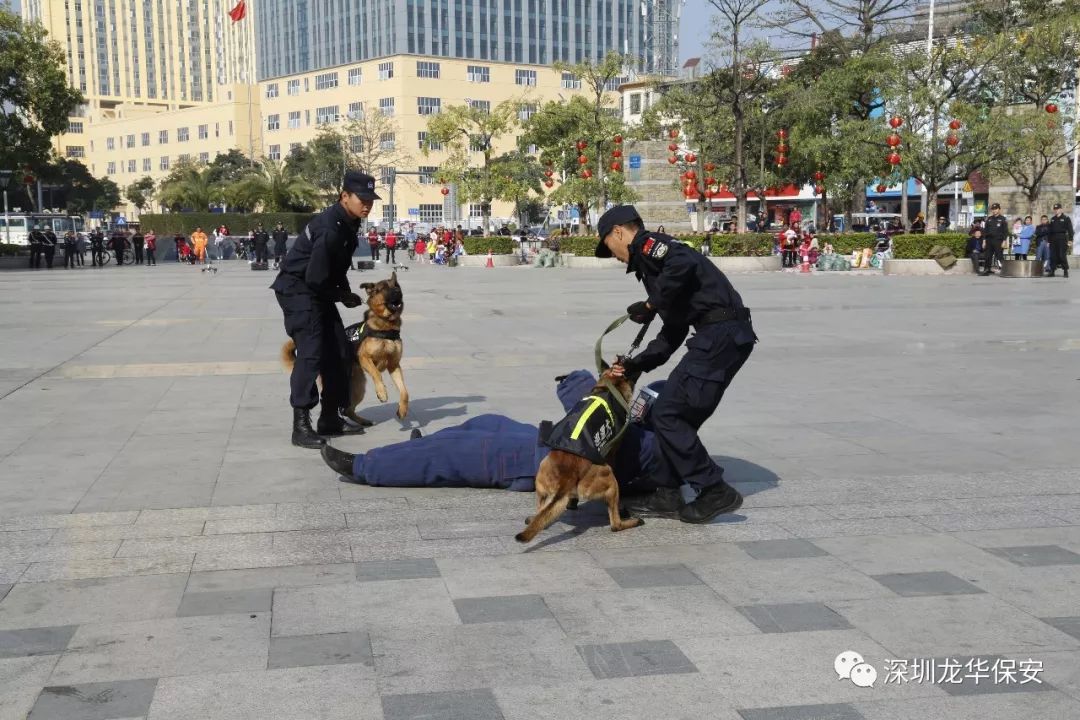 攻什么守什么四字成语_女攻男守什么意思(3)