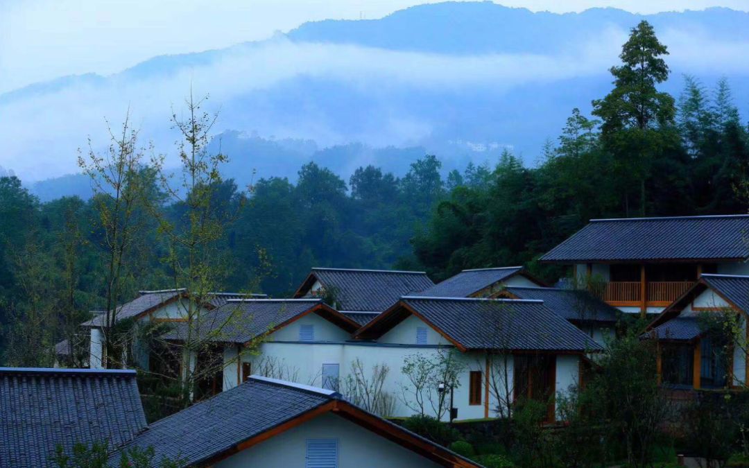 这个春节最惬意的度假方式,赏灯会,游蒙顶山,住花间堂