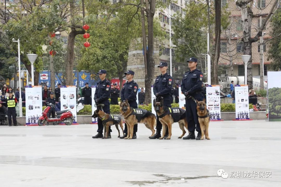 攻什么守什么四字成语_女攻男守什么意思(2)