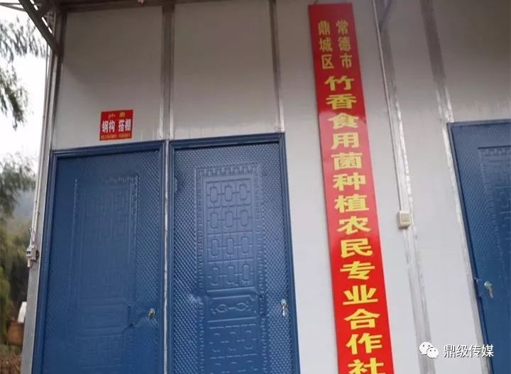 鼎城村人口_八马茶业鼎城天虹店(2)