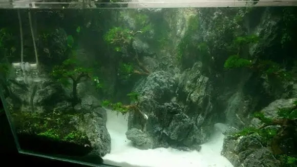 水草缸雨林缸造景:瀑布水草缸