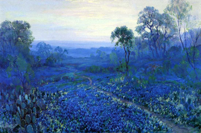 蓝色风景画家 julian onderdonk 作品欣赏_德克萨斯州