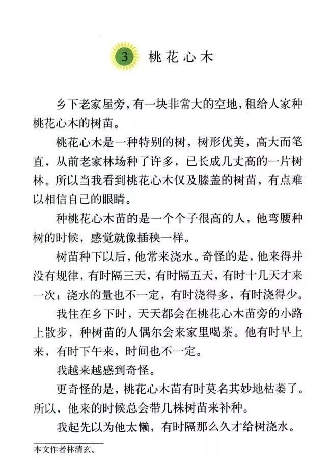 搭石课文总结提纲怎么写_搭石课文笔记图片(3)