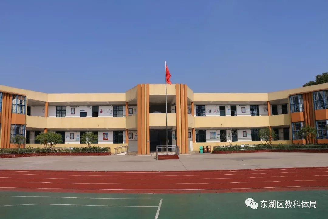 东湖教育四十年南林小学有氧南林现活力六瓣花开见成长