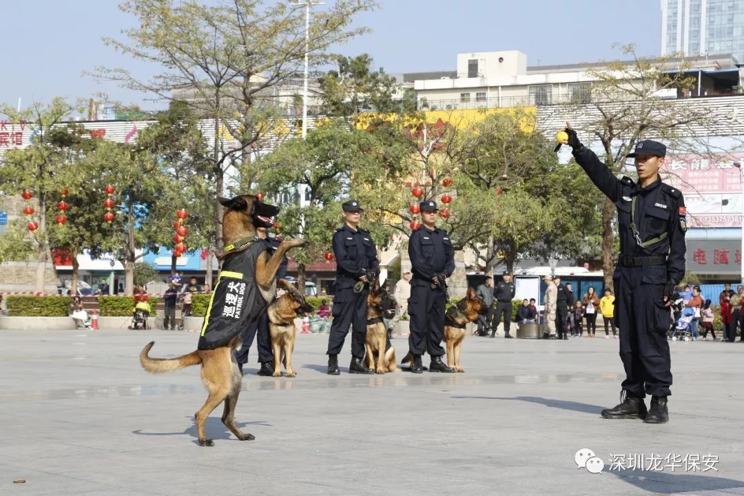 攻什么守什么四字成语_女攻男守什么意思(2)