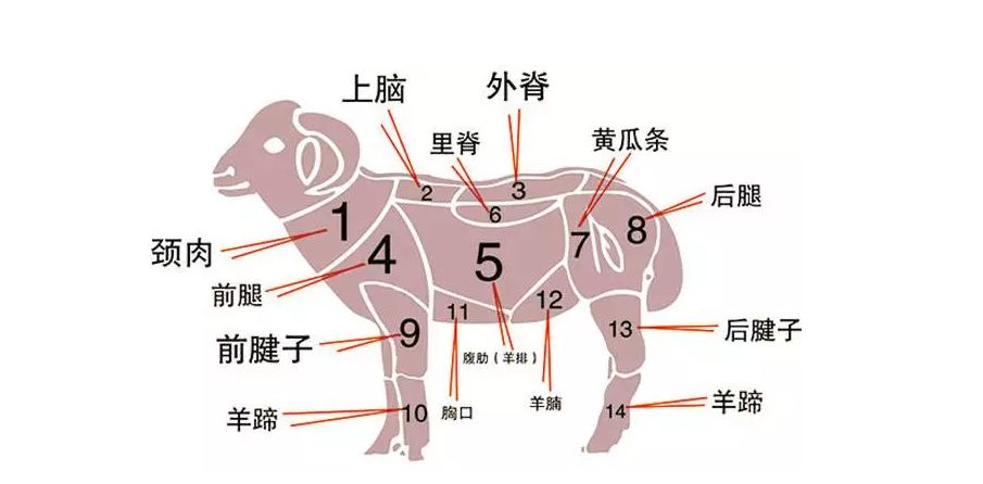 最全"羊肉"分解图