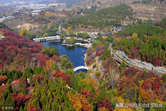 济南市莱芜区高姓人口_济南市莱芜区地图(3)