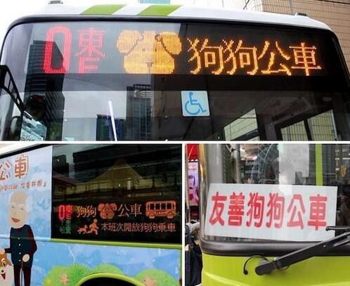台湾的友善公车，运行两年颇受好评，专供给主人和狗狗的公交车