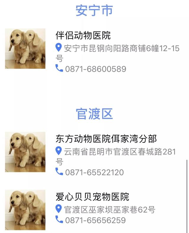 养狗证怎么办在哪办昆明电子犬证正式上线超方便