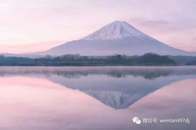 文岚的解忧杂货铺舍得让你爱的人受苦