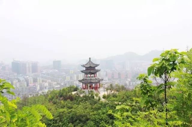 重磅桂阳县被正式授牌国家园林城市县城