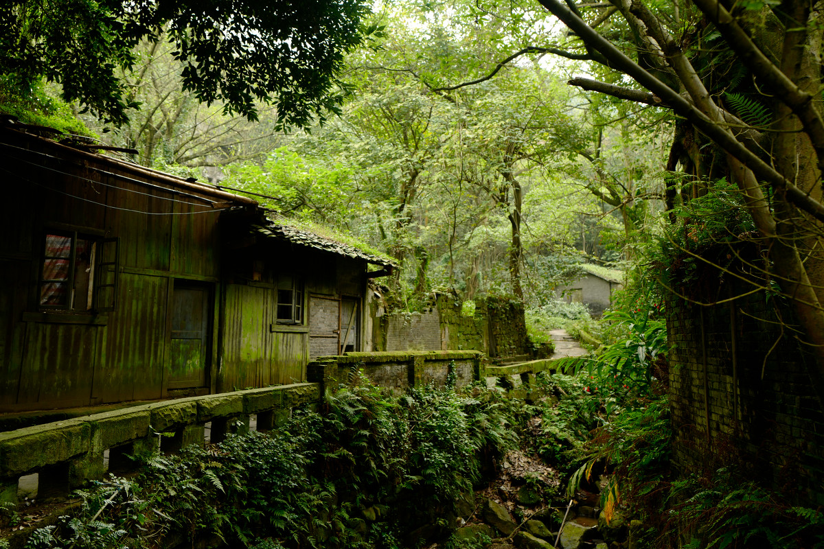 临近北温泉,还可以徒步张飞古道,穿越温塘峡.