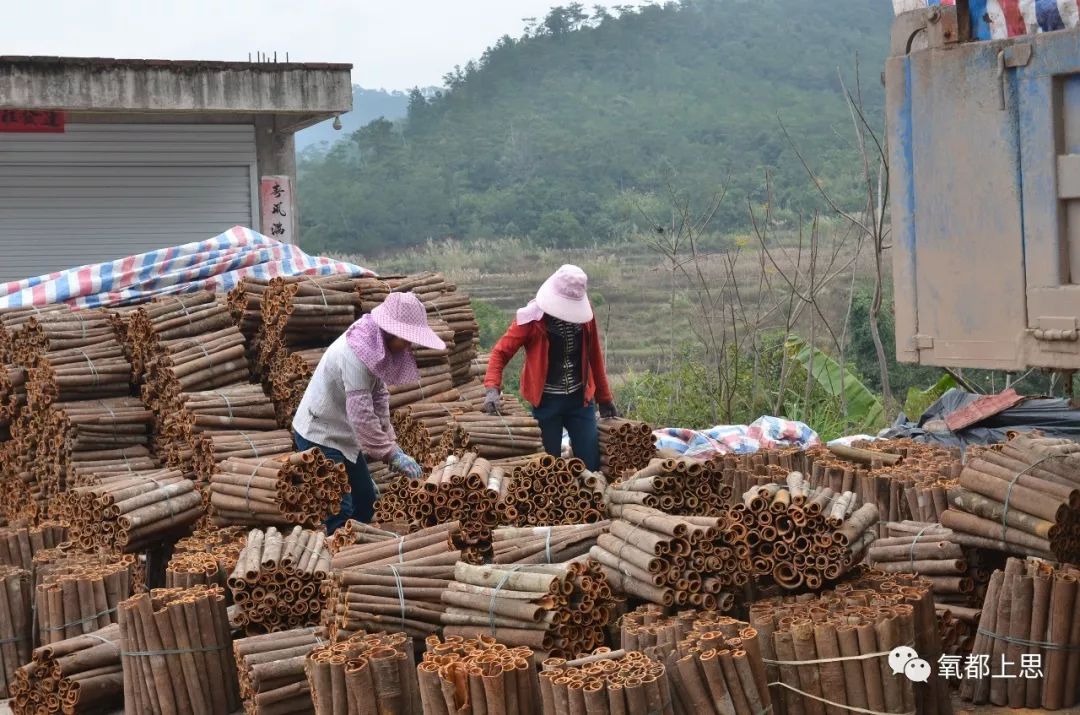 上思瑶乡特产"色香味"俱全 远销全国各地