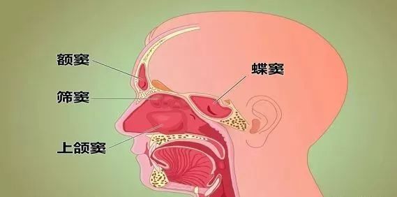 很多病都治错了,"高人"教你识破30个治病误区