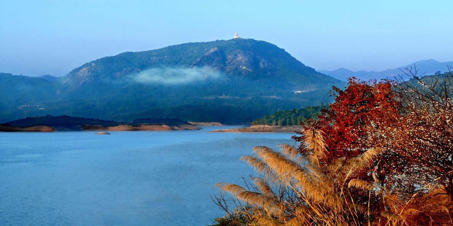 陆河总人口_陆河擂茶