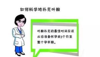 备孕男的要吃叶酸吗?不知道我老公也要吃叶酸吗,我正在吃着叶酸.