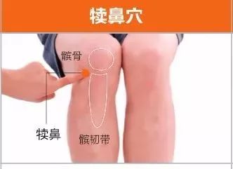 精确取穴:在膝部,屈膝时髌骨与髌韧带外侧凹陷中.