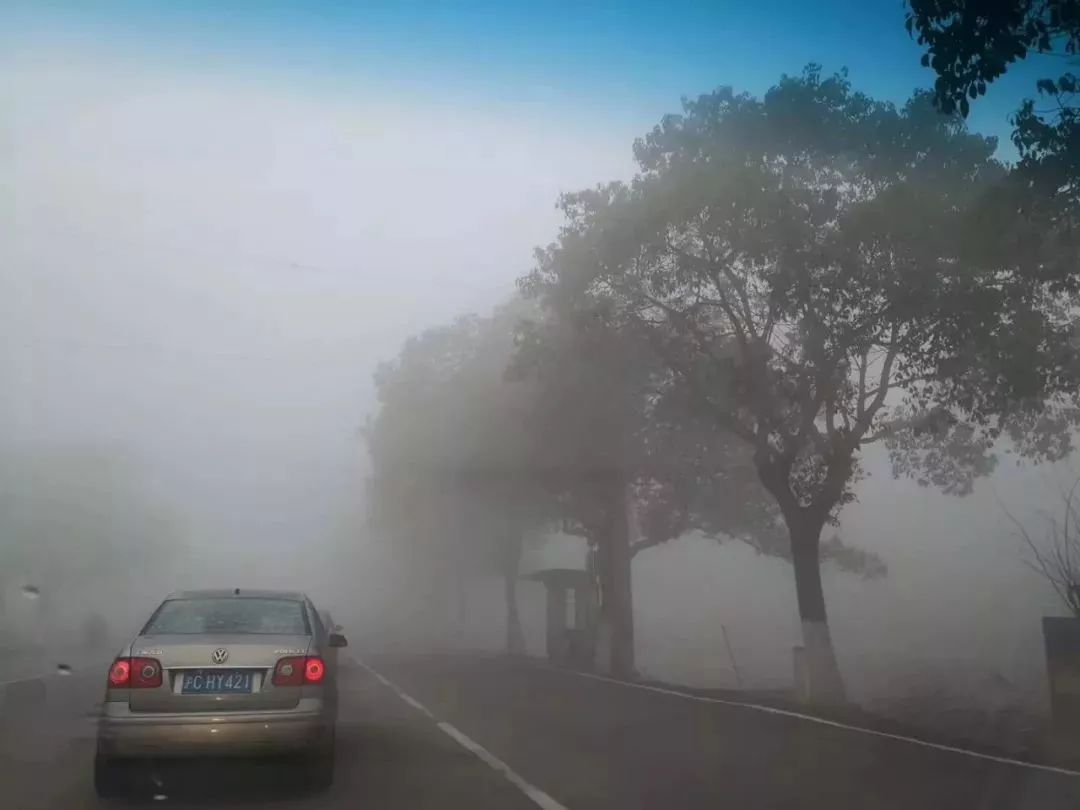 温馨提示雾天行车雾必小心