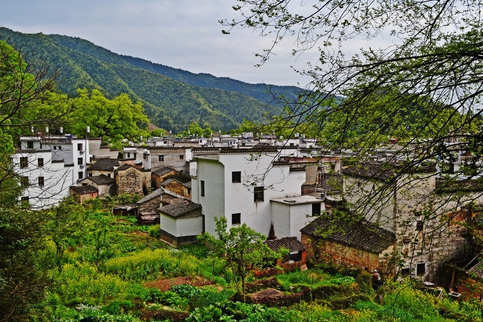 江西这个拥有一千多年历史的徽派建筑古村落,婺源晓起村