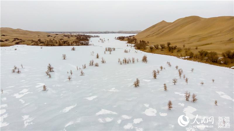 实拍雪中的新疆塔克拉玛干沙漠骆驼