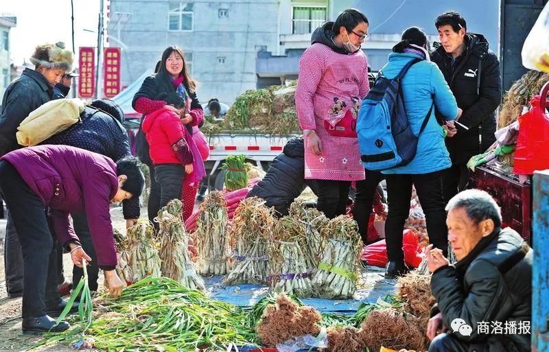 商州市商州区大荆镇人口多少