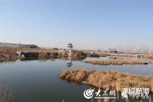 东明五里河市级湿地公园通过评审