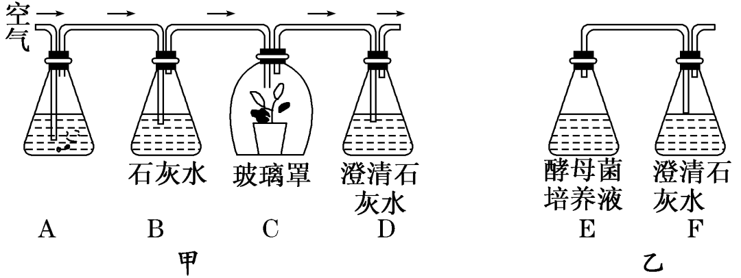 (10分 图中甲,乙分别是探究有氧呼吸和无氧呼吸的实验装置图,请据图