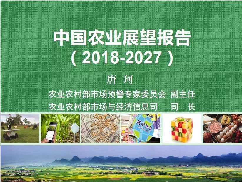 本文源于2018中国农业展望大会中农业农村部市场预警专家委员会副主任