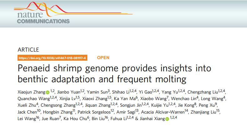 天津生物晶片再次發力破譯對蝦基因組並獲得國際首個高質量對蝦基因組參考圖譜 科技 第1張