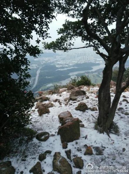 原來，東莞上一次下雪，已經是3年前的事了… 生活 第19張